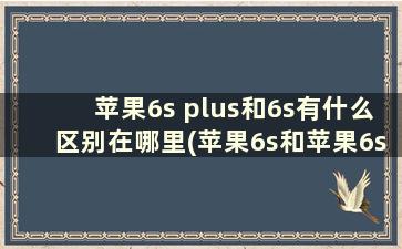 苹果6s plus和6s有什么区别在哪里(苹果6s和苹果6s plus有什么区别吗)